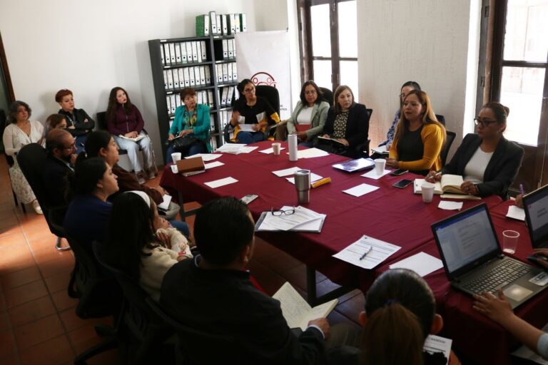 Busca SIPINNA trabajar política de prevención y atención del embarazo adolescente