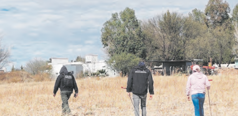Crean grupo de búsquedas independiente