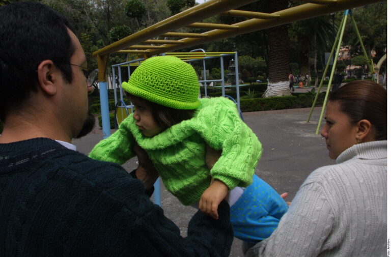 Familias que evolucionan; existen 11 modelos: Inegi