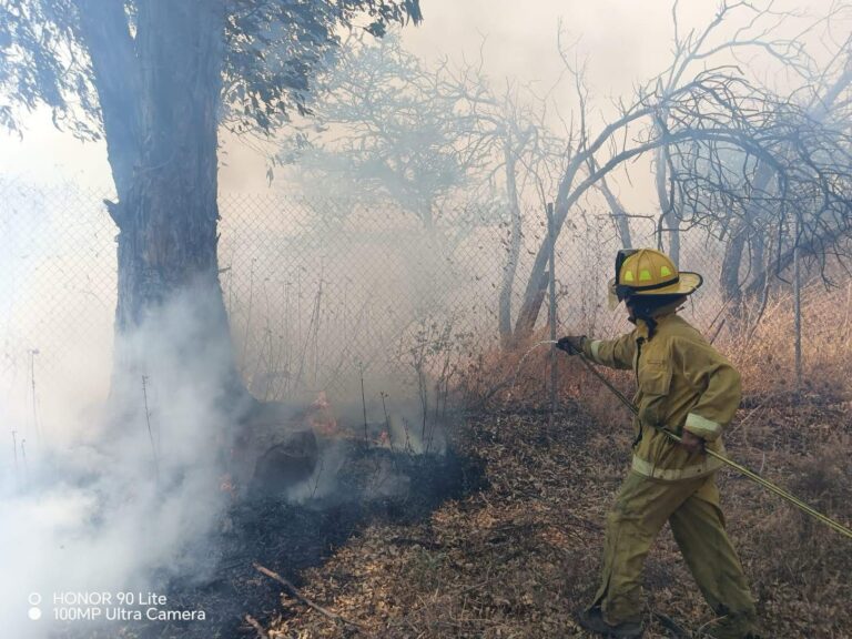 Incendio consume 30 hectáreas en Guadalupe