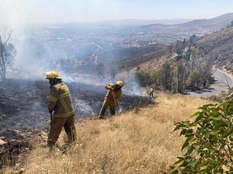 Provocan incendio en Cerro de la Bufa