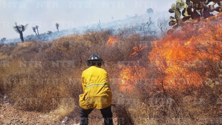 No paran los incendios; registran cinco este sábado