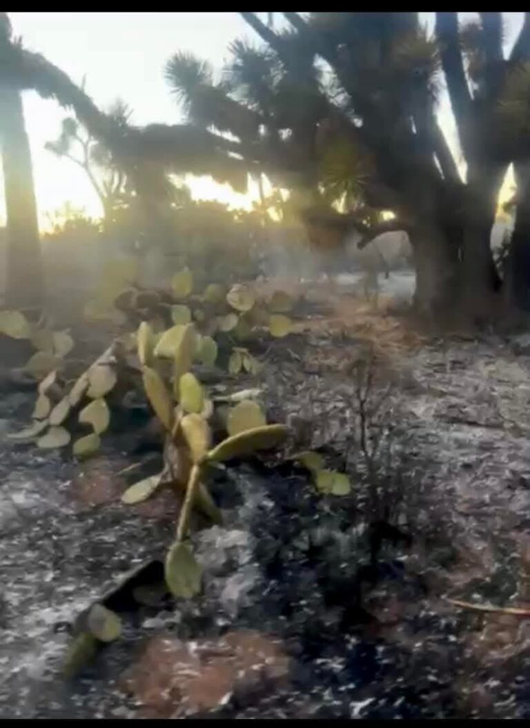Logran sofocar incendio en Villa González Ortega