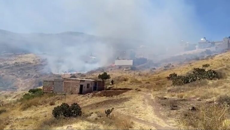 Evacúan a niños debido a incendio forestal