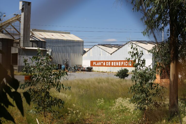 Invierten $25 millones en beneficiadora de frijol
