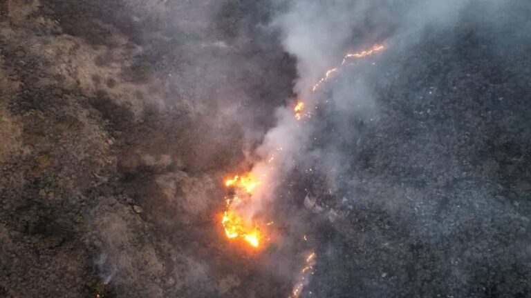 Se reaviva incendio forestal en Teúl de González Ortega
