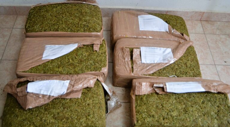 Sentencian a dos por transportar 78 kg de marihuana