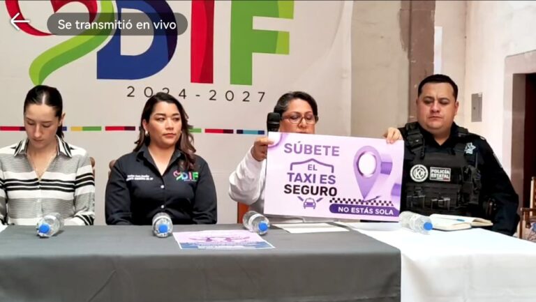 Lanzan Taxi Violeta en Jerez
