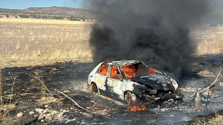 Auto se incendia tras chocar contra árbol; hay un lesionado de gravedad