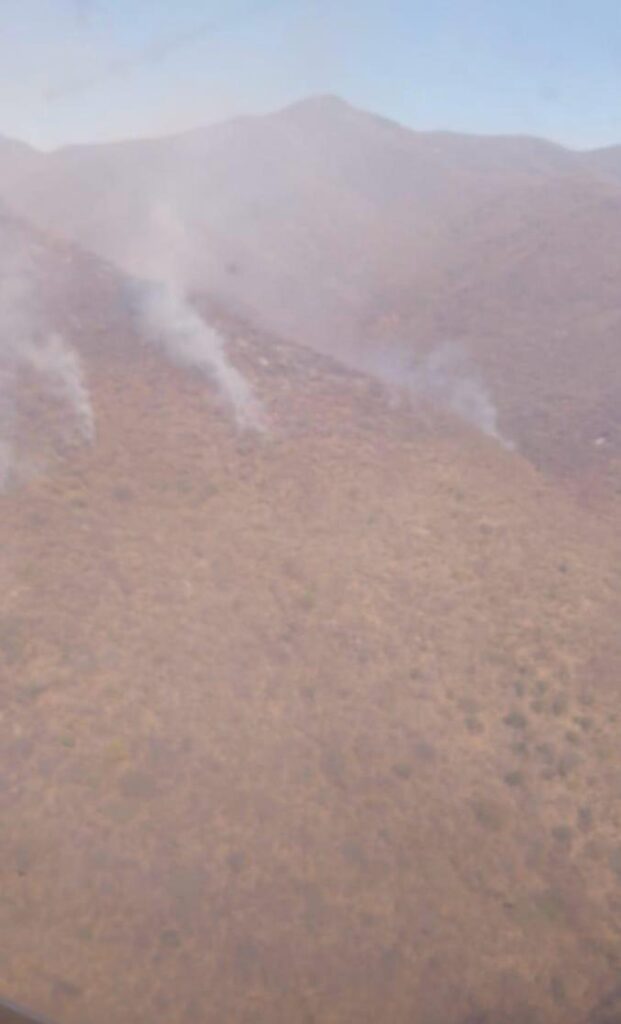 Contienen en un 50% incendio en sierra de Tepechitlán y Tlaltenango