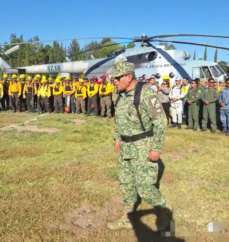 Declaran extinguido el incendio del Cerro Chino en Tepechitlán