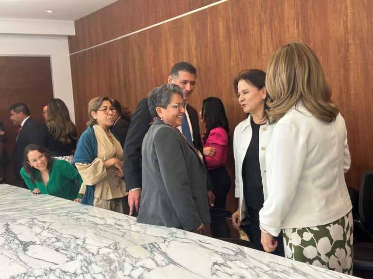 Entre la entrega y la recepción, garantizar el acceso sin mirar a quién: Julieta del Río
