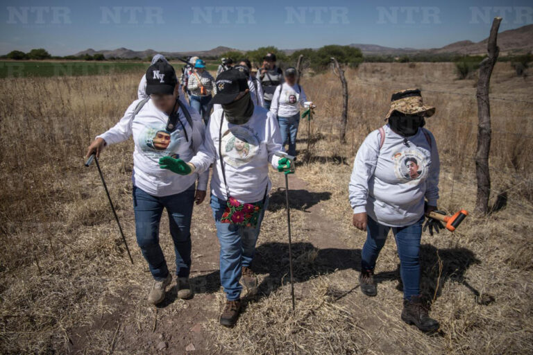 Escarabajos: primera búsqueda independiente
