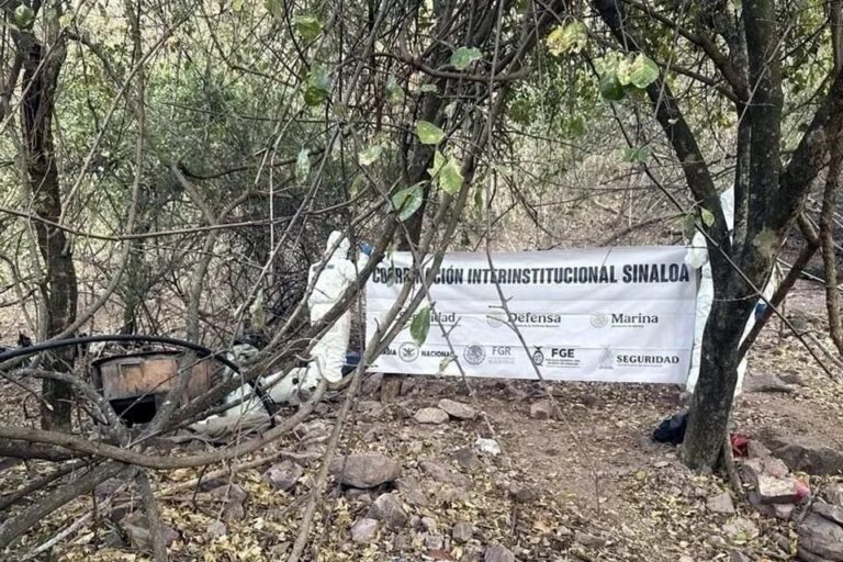 Hallan en Sinaloa precursores enterrados