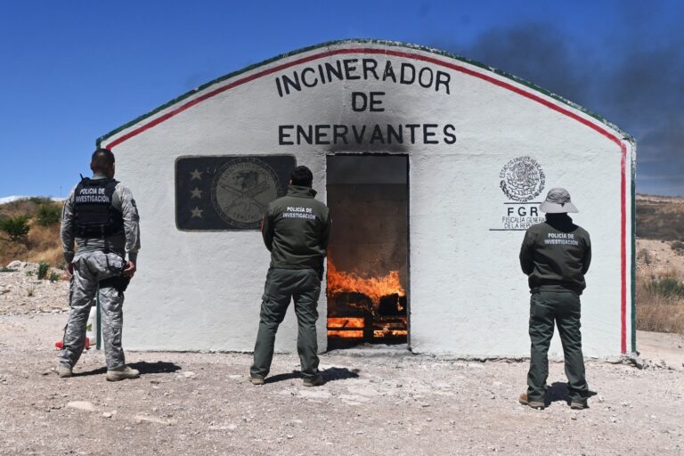 Incineran más de 26 kilos de marihuana y otros narcóticos