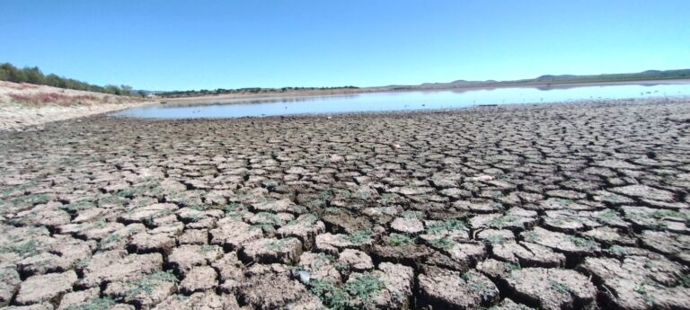 Presa Santa Rosa, sin agua para riego