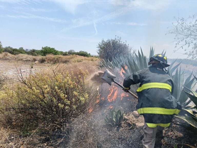 Prohíben quemas agrícolas por alza de incendios
