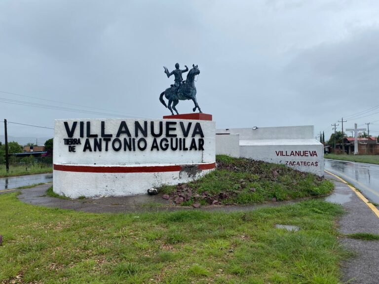 Remozan jardín de Villanueva