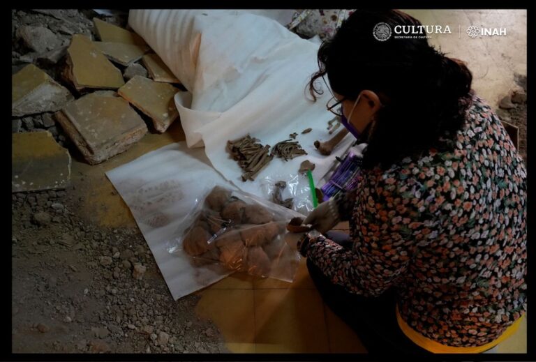 De ocho niños, restos óseos de primaria