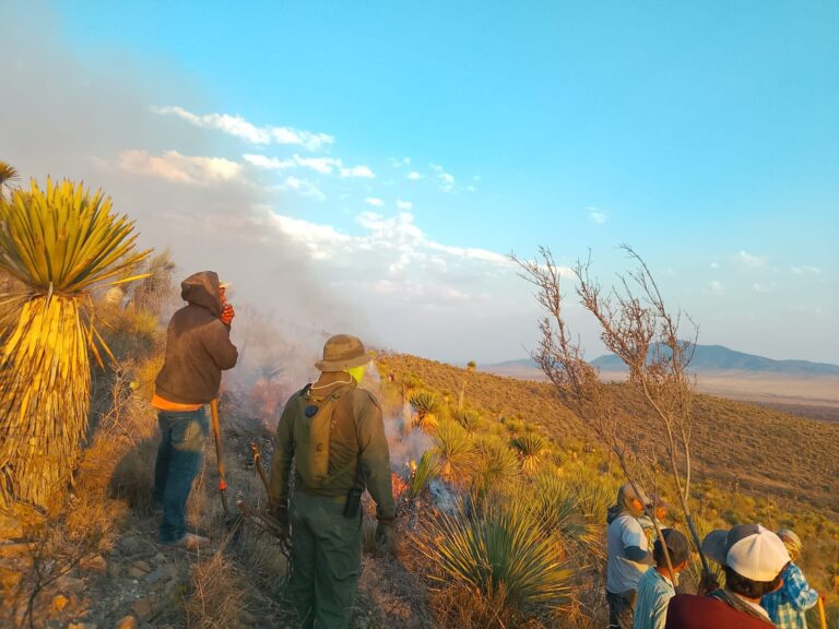 Sofocado en 90% incendio en Tlaltenango