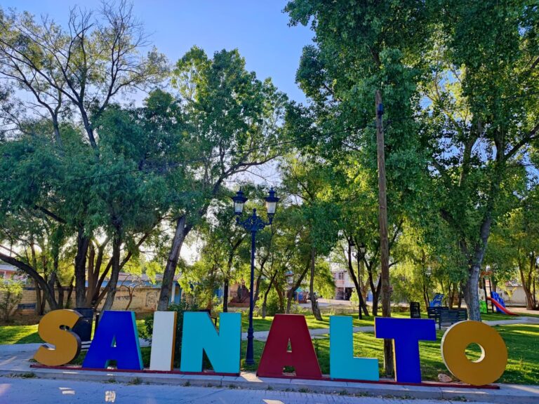 Busca Sain Alto condonación con el IMSS