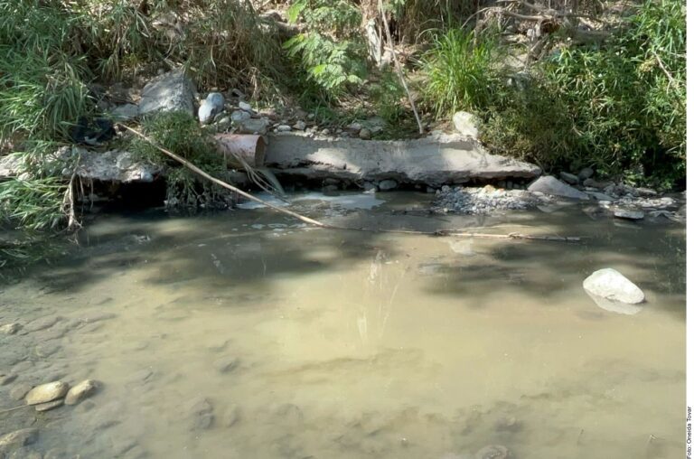 Comen pescado de presa contaminada en Florencia
