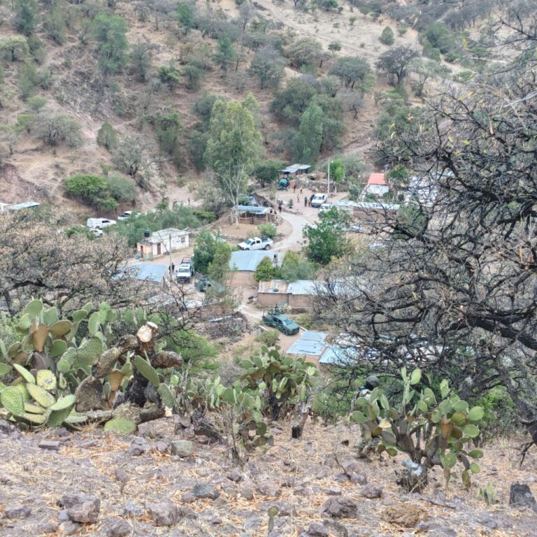Llevan a cabo búsqueda en Jiménez del Teul