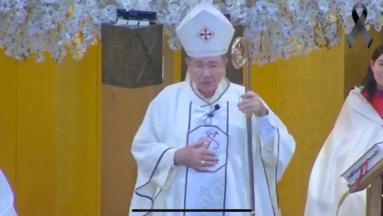 Próximo Papa «deberá ser guiado por nuestro señor»: Obispo