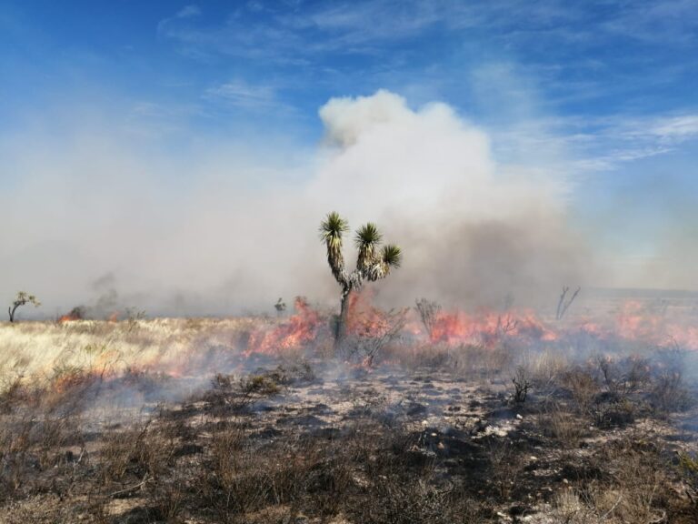 Sobrepasan los incendios capacidad de bomberos