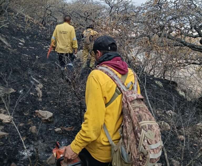 Sofocan incendio; deja 3 mil 500 hectáreas de daños