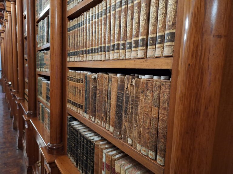 Testigos, los secretos dentro de los libros