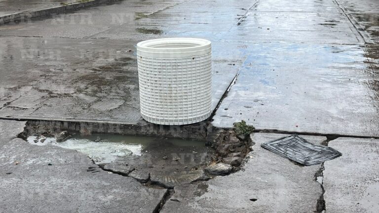 Robos y servicios colapsados devastan Las Arboledas