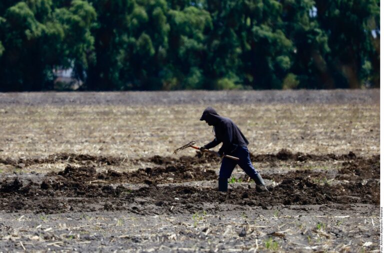 Anticipan un favorable ciclo agrícola