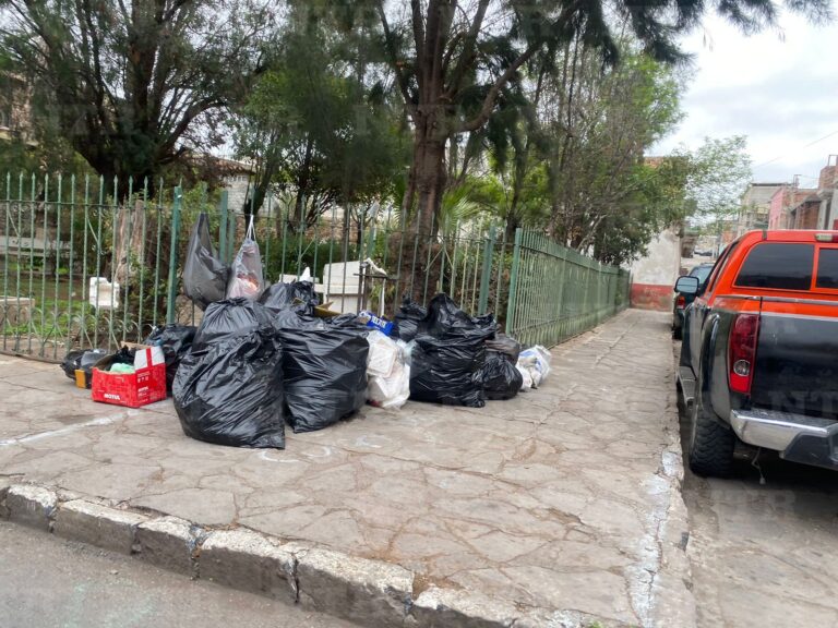 Falla Trash; se acumula basura en colonias