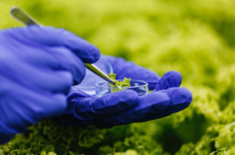 La Cosmopolitana expone beneficios de la agricultura celular en la seguridad alimentaria
