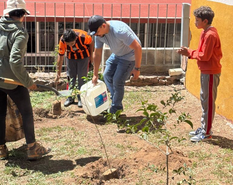 Reforestan escuelas de la capital