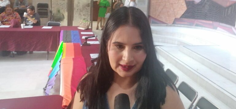 Pide Renata Ávila respetar a ejitarios de El Potrero
