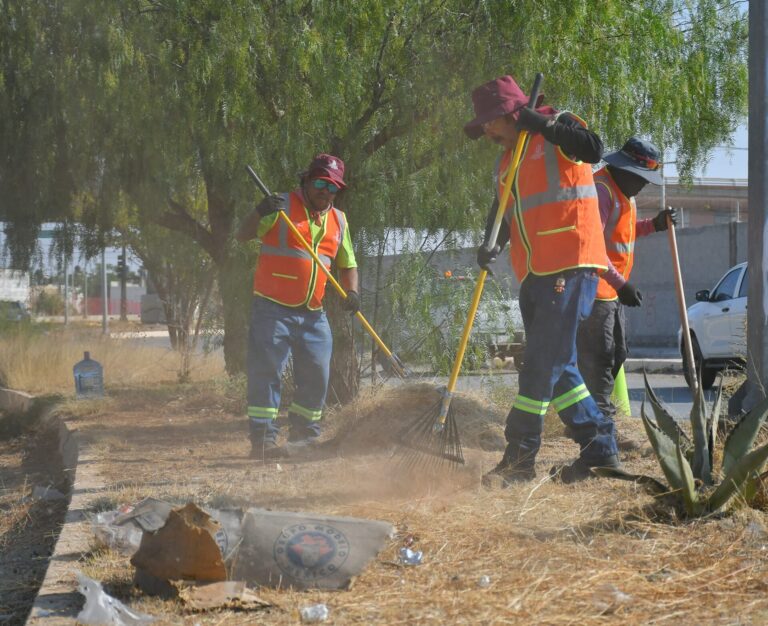 Trash suspende servicio; alcaldía desconoce