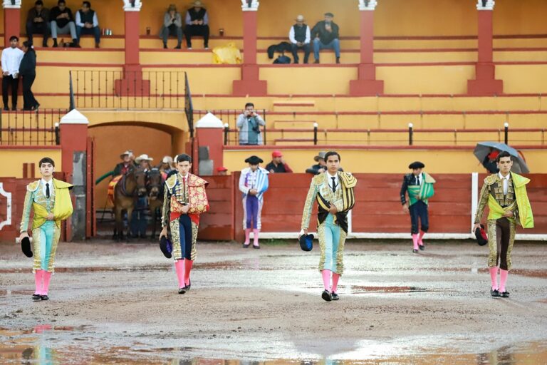 Una tarde de novillada marcada por la voluntad y el buen juego del ganado