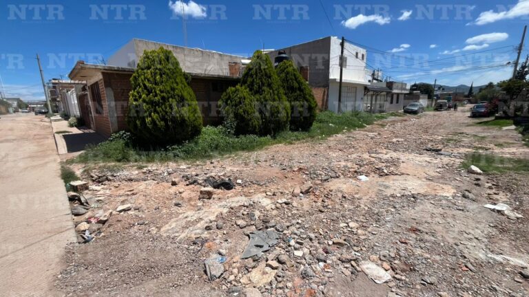Vecinos de la feria denuncian abandono
