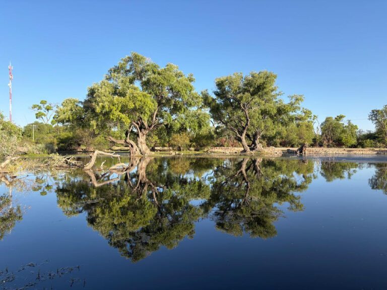 Buscan que sierra de Pinos sea zona protegida