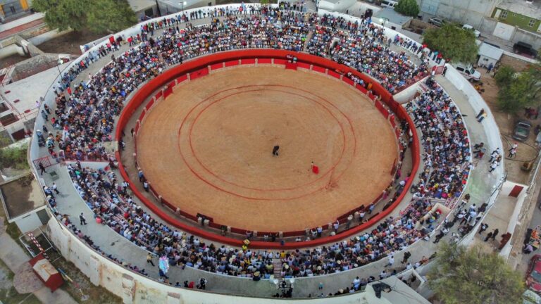 Diversidad ganadera para la novillada de feria en Cedral