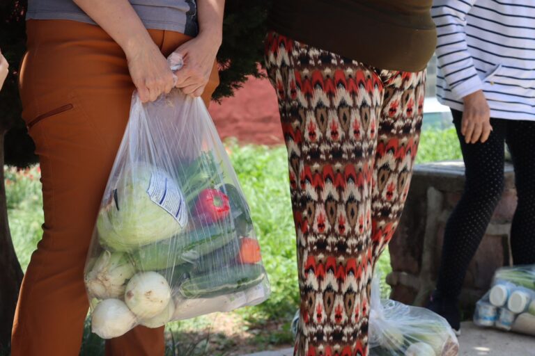 Entregan apoyos alimentarios en la Capital