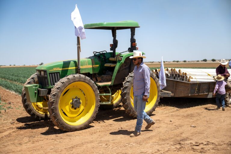 Sembrada, 20% de la tierra de temporal