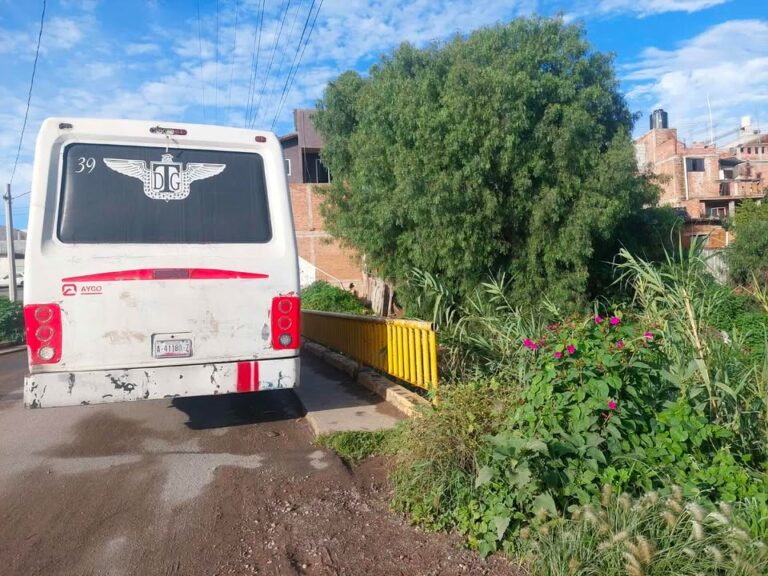 Deficiente, servicio de la ruta Tierra y Libertad