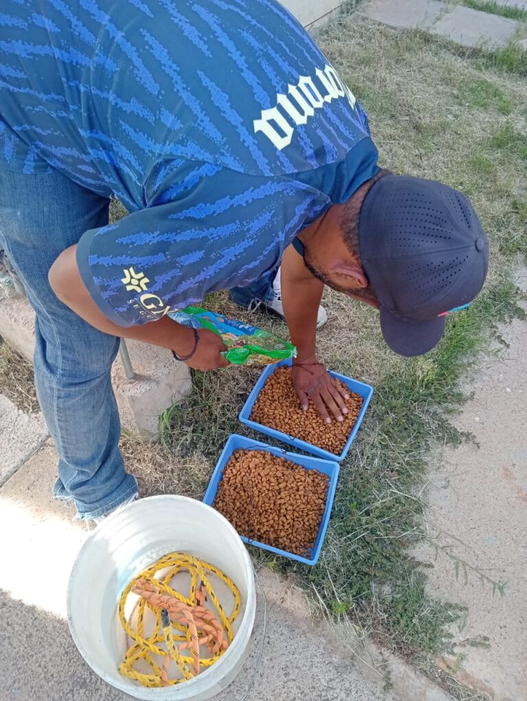 Bienestar animal de Guadalupe alimenta a perros abandonados