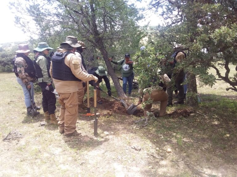 Realizan búsquedas en Fresnillo y Villanueva