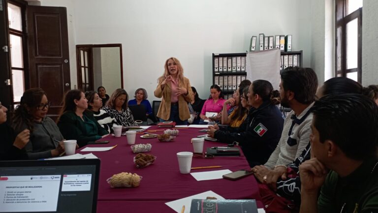 Convocan a integrar el Consejo Consultivo del SIPINNA
