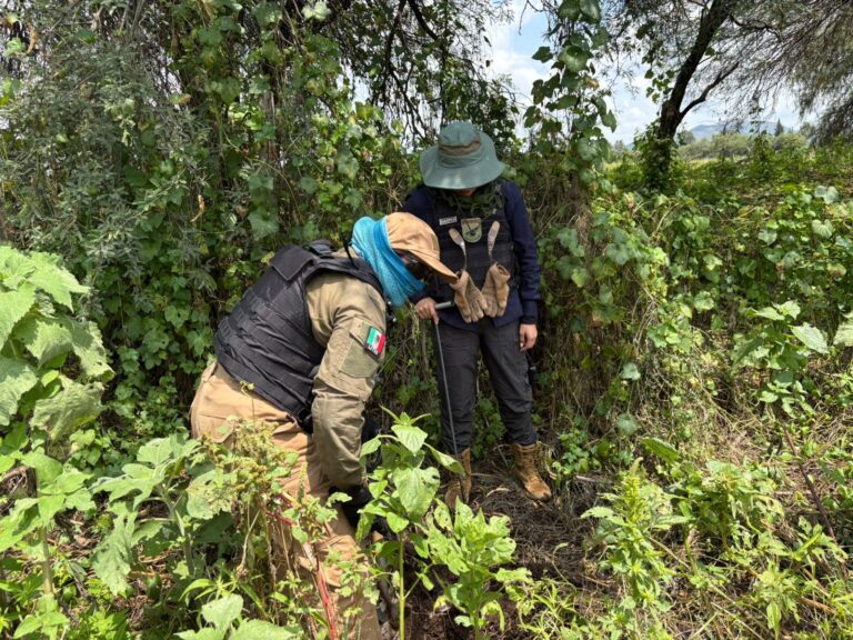 Realizan búsqueda en Ojocaliente y Noria de Ángeles