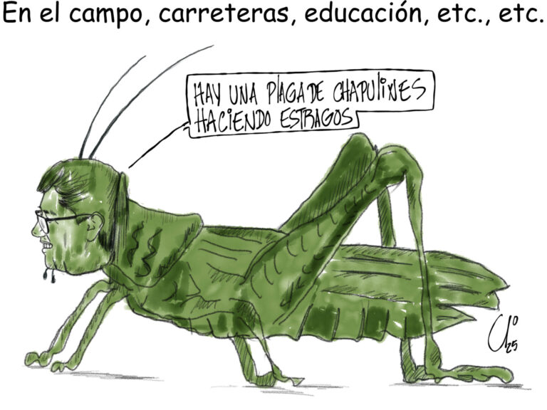 Los Monos de El Tal Yo